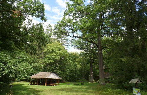 Dom w Gruszkach - Puszcza Białowieska - Foto 38