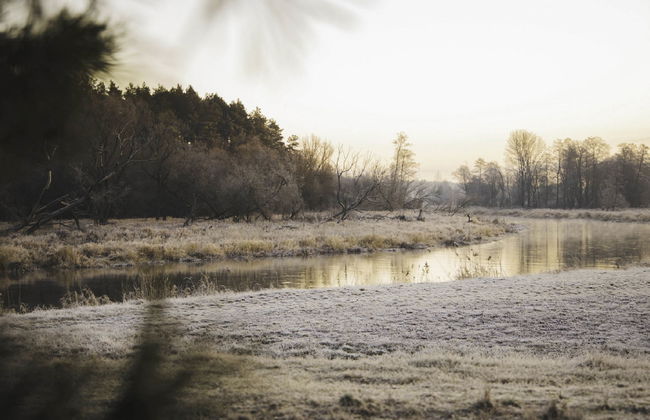 Stara Wieś Resort & Odnowa - Foto 64