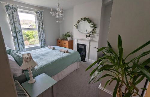 Perfect for Snowdon. Groups, families+dogs welcome - Photo 3