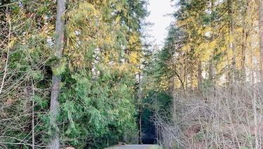 The Place To Be; With A Hot Tub! - Foto 3