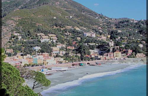 L' eden di Erasmo - Foto 58