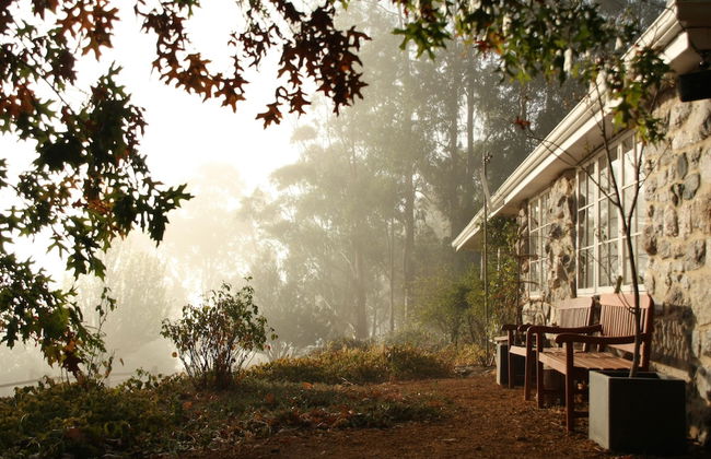 Balingup Heights Hilltop Forest Cottages - Foto 60