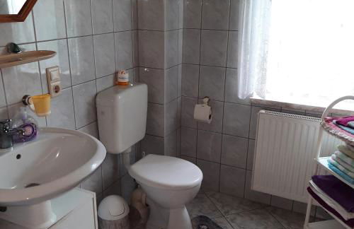 Landpension Zum Schweizerberg - Foto 40