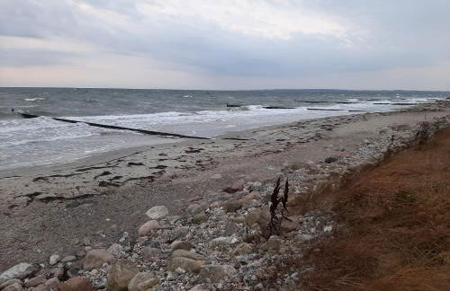 Rosmarinchen - Foto 14