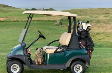 Skylark sleeps 8 private Hot Tub & Dogs welcome Nr Padstow, Resort Pool Bar & Watersports - Foto 37