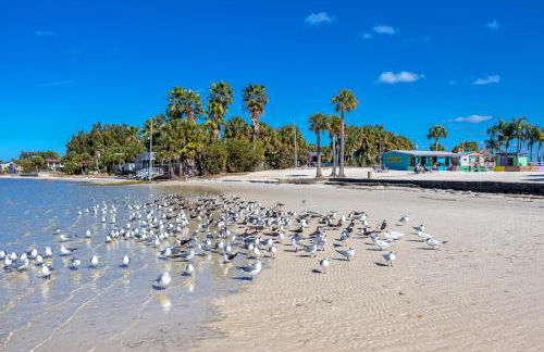 Weeki Wachee House - Charming Home with Heated Pool, A Nature Lover's Paradise! - Foto 7