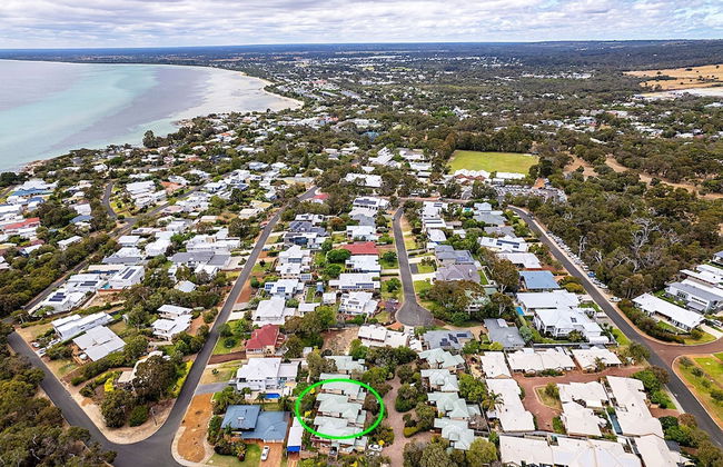 Bird's Nest - Foto 20