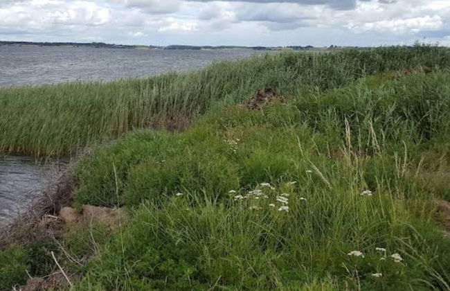 Seaside Serenity in Jaegerspris-by Traum - Foto 13