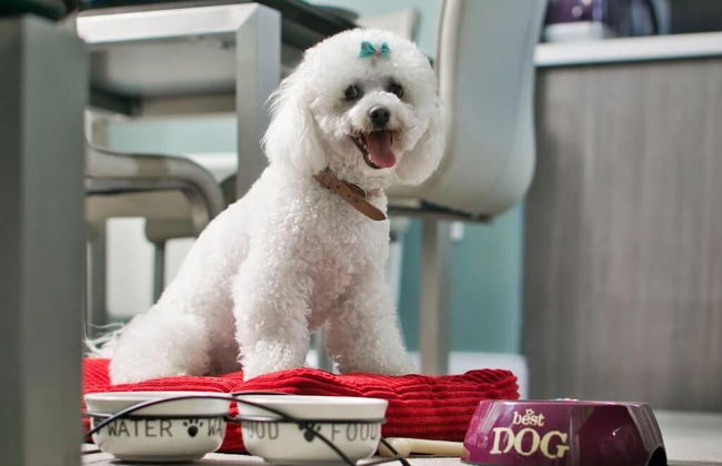 The Reserve at Muckross - Foto 33