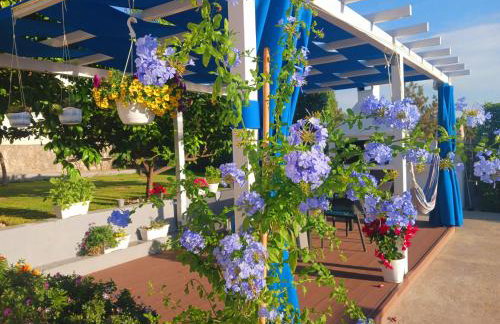 LUXURY VILLA ŠENTADA - Photo 19