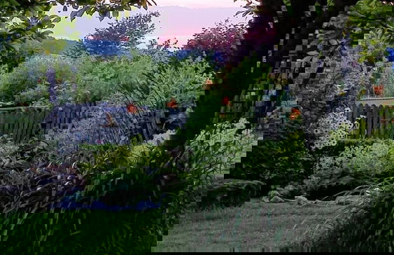 Ferienhof Lohmann - Foto 12