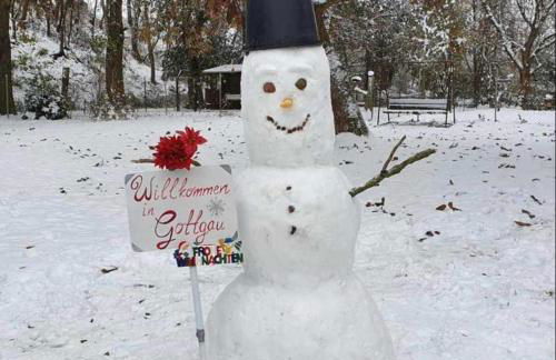 Ferienwohnung, Apartment, Monteurwohnung mit Klimaanlage Wettin-Löbejün - Foto 25