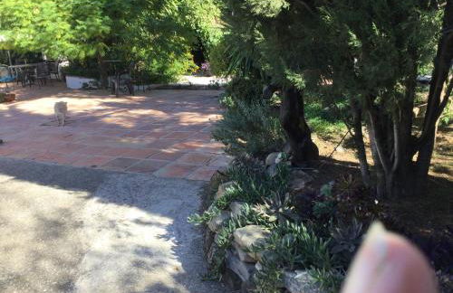 Finca el Rio, The Studio self catering with pool and hydrotherapy jacuzzi set in beautiful gardens, - Foto 20