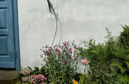 Willa Gaszek - Photo 8