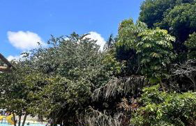 Apartamento no Iloa Residence - Com Enxoval Completo - Foto 72