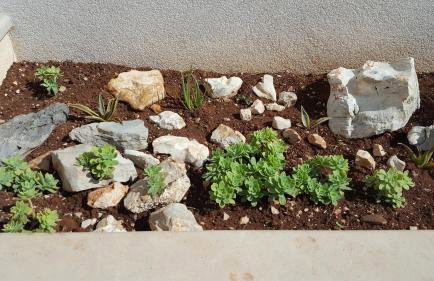 Apartmani Mariela - Photo 39