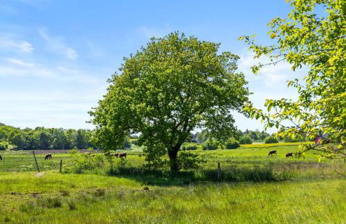 Schleiparadies - Foto 29