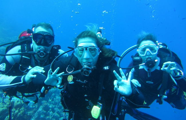 Coral Paradise Resort - Foto 41