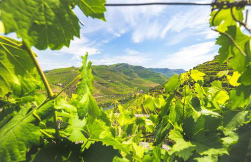 Quinta do Valdalágea - Foto 146