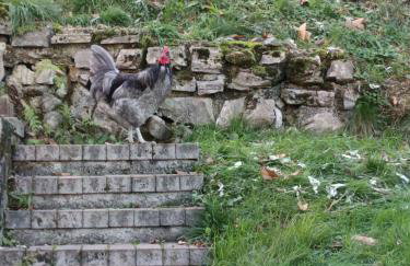 2 double rooms apartment- La Casa di Alice - Foto 24