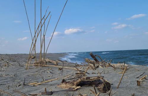 Appartement 63 m2, tout confort, climatisé. - Foto 6