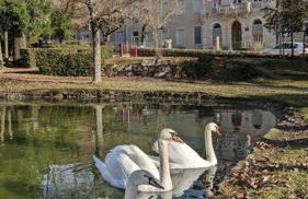 Villa provençale et familiale - Foto 10