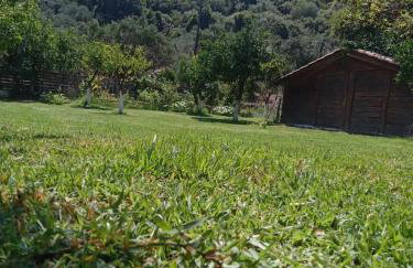 The Lake House'' -Trichonida Lake - Foto 39