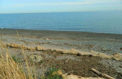 SQ Waters-Edge - Foto 27