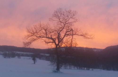 Ferienwohnung Ellen - Foto 29