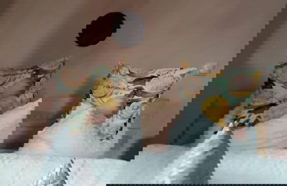 Schloss Neuenhagen - Foto 16