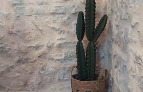 Pyrrichos Stone House - Foto 24