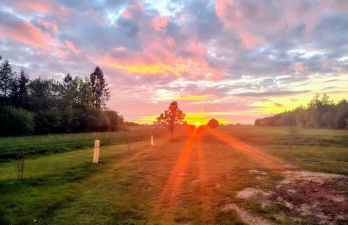 Lawendowy Domek agroturystyka, noclegi - 2,7 km od Bałtowa - Foto 47