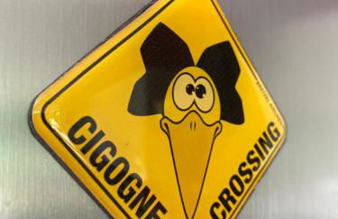 Strasbourg 3 pièces "Vue sur le jardin" - Foto 24