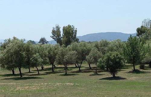 BaseCamp Ogliastra - Flat Green - Foto 15