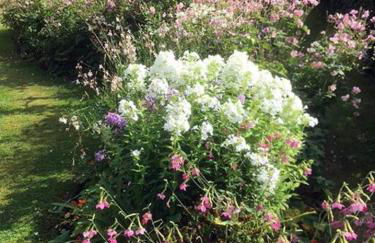 Highfield Lodge - Photo 42