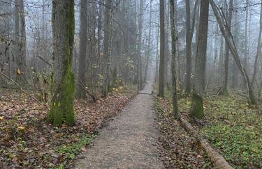 Apartament Nieznany Bór - Foto 33