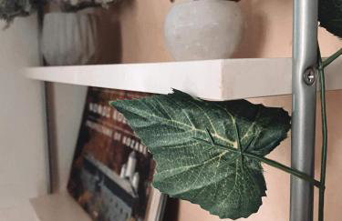 Evaggelia's Apartments 2 Διαμονή σαν το σπίτι σας - Foto 17