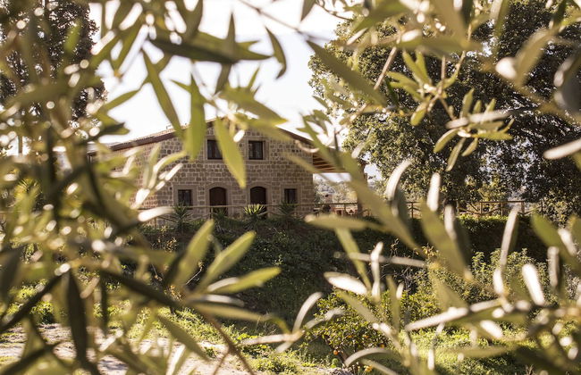 Le due querce - Photo 33