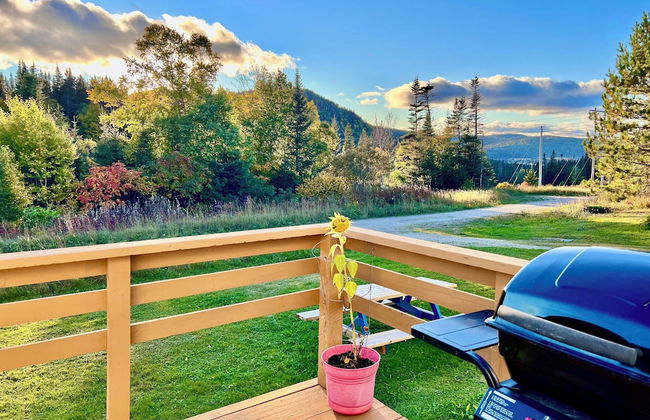 Bonne Bay Cottages - Photo 51