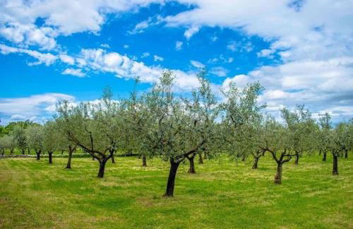 Infinity pool Villa San Amore - Foto 35
