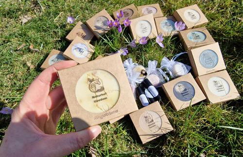 Doppelhaushälfte Ostwind vom Naturhof Usedom - Foto 64