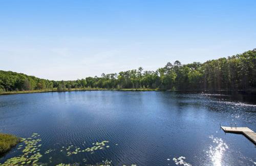 Wild Forest - Foto 3