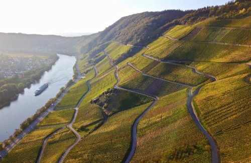 Bernkasteler Moselpanorama - Foto 24