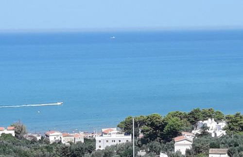 Villa Matassa 4 appartamenti vista mare in San Menaio - Foto 30