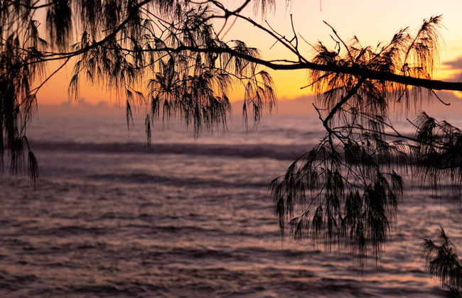 Reflections Bonny Hills - Holiday Park - Photo 1