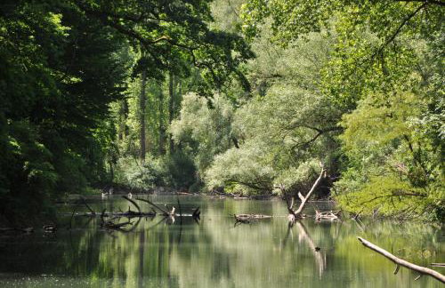 Fewo Am Otterbach - Foto 21