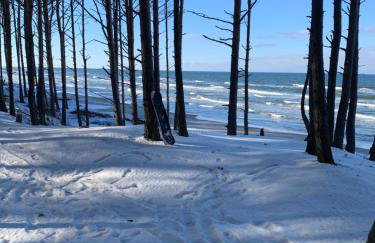 Pogodny domek Kopalino z balią - Foto 29