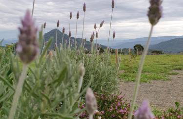Pousada Flocos de Neve - Photo 30