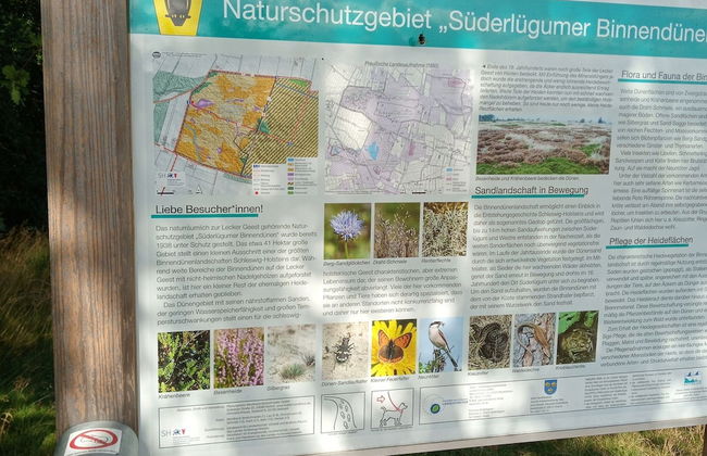 Holiday Home in Neukirchen Near Sylt Beach - Foto 19