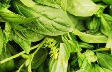 Azienda Agrituristica Baglio Carta - Foto 60